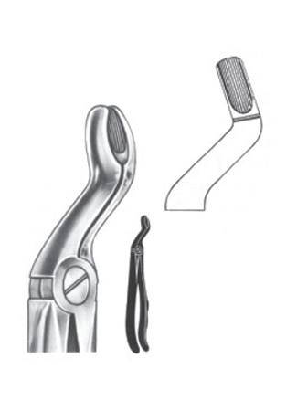 Extracting Forceps – English Pattern