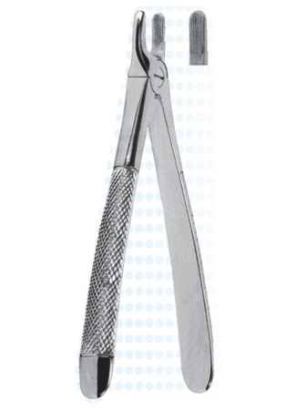 Extracting Forceps – English Pattern