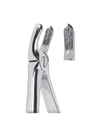 Extracting Forceps – English Pattern