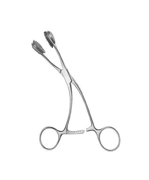 Tongue Holding Forceps